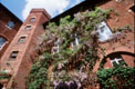 Images of Toulouse